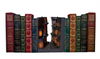 Wizarding World of Harry Potter Diagon Alley Light Up Book Ends