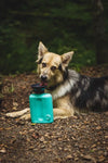 AutoDogMug® Leak-Tight Growler